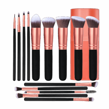 14-Pc Makeup Brush Set